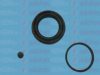 AUTOFREN SEINSA D42118 Repair Kit, brake caliper